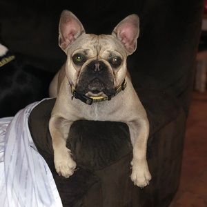 Meet your Posher, Geraldine